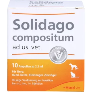 One Box Solidago compositum vet with 10 ampoules by Heel, PZN 01219864, presented by Lions Pharmacy