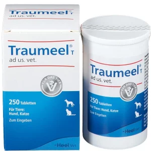 Traumeel T tablets from Heel, a box contains 250 pc, PZN 04055630, Lions Pharmacy