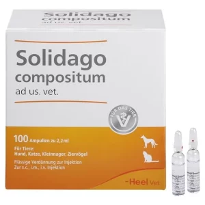 Soliga compositum ad us vet 100 ampouls, Heel, PZN-01224090, Lions Pharmacy